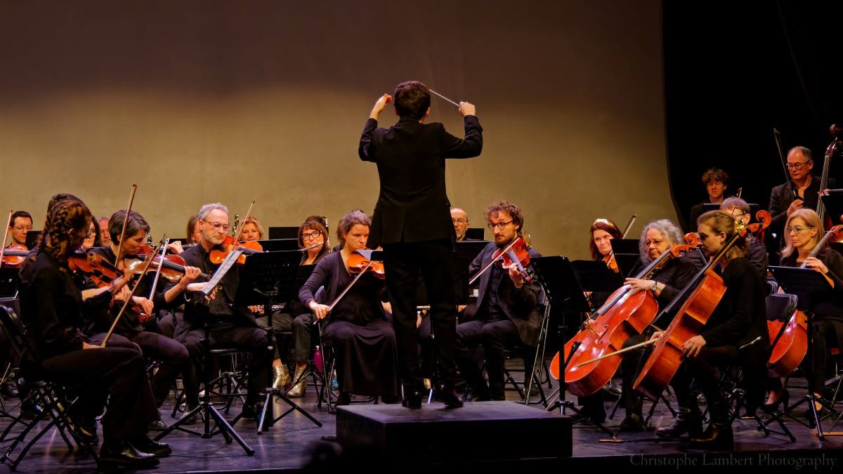 Le chef de dos, face à l'orchestre en concert